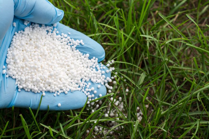 Residential Lawn Fertilizing in Honolulu, HI