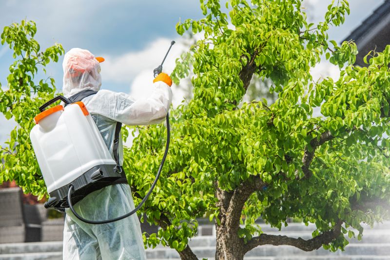 Weed Spraying in Aiken, SC