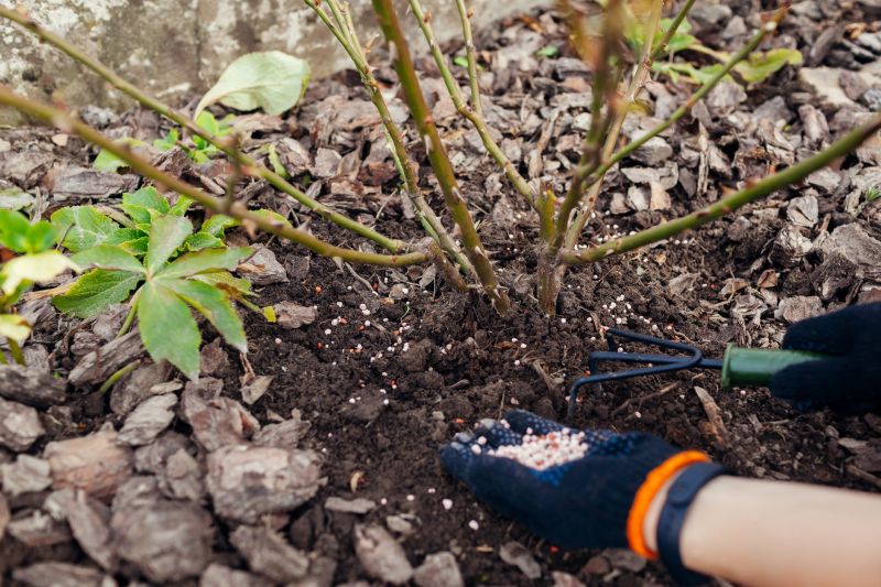 Yard Fertilization in Honolulu, HI