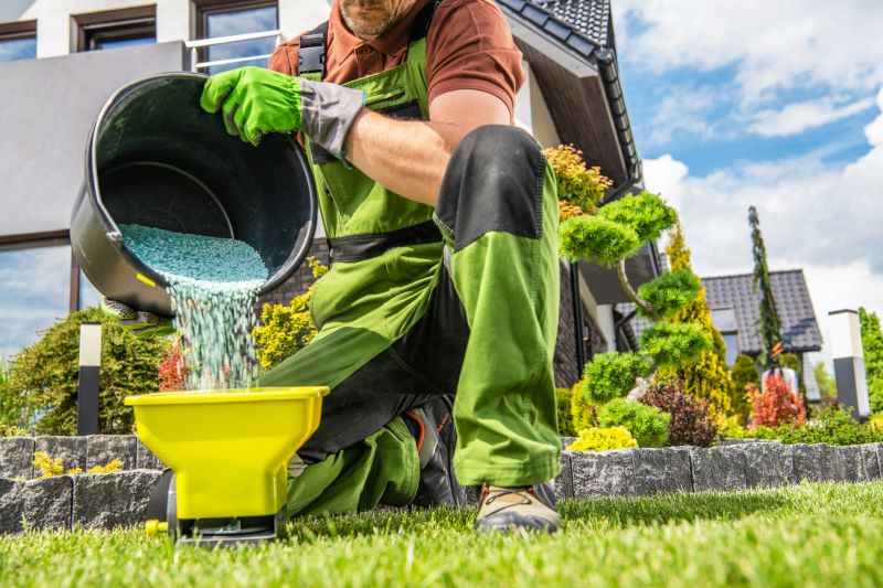 Yard Improvement Service in Honolulu, HI