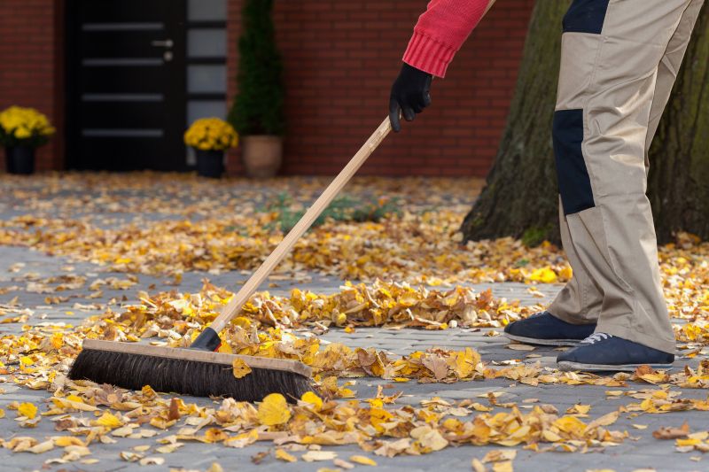 Autumn Leaf Removal in Ventura County, CA