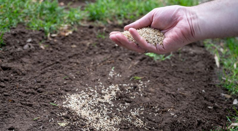 Bermuda Grass Seeding in Ventura County, CA