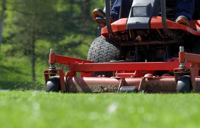 Brush Mowing Service in Prince Georges County, MD