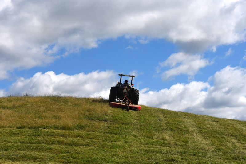 Bush Hogging Service in Prince Georges County, MD
