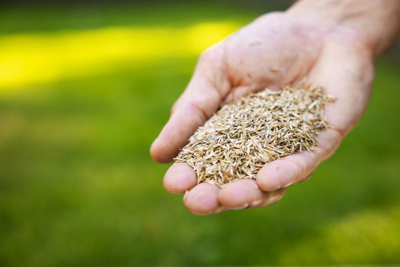 Commercial Lawn Seeding in Honolulu, HI