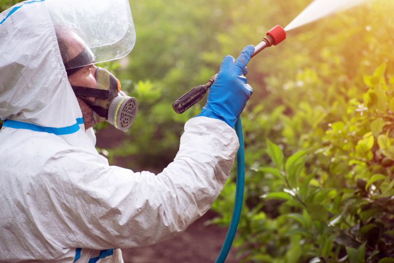 Crabgrass Prevention in Aiken, SC