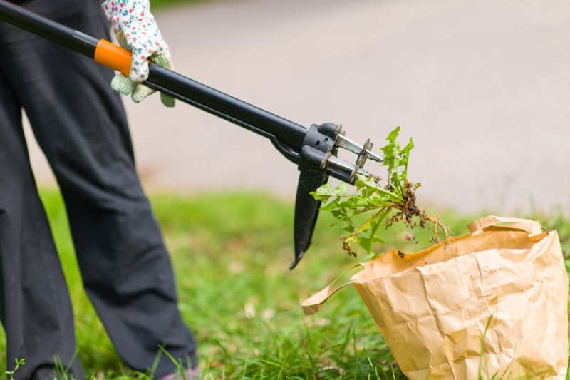 Crabgrass Removal in Honolulu, HI