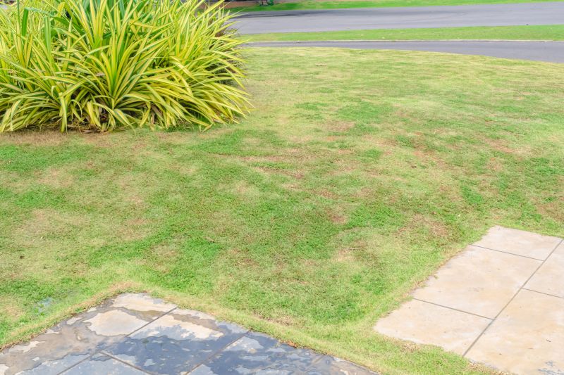 Lawn Damage Prevention