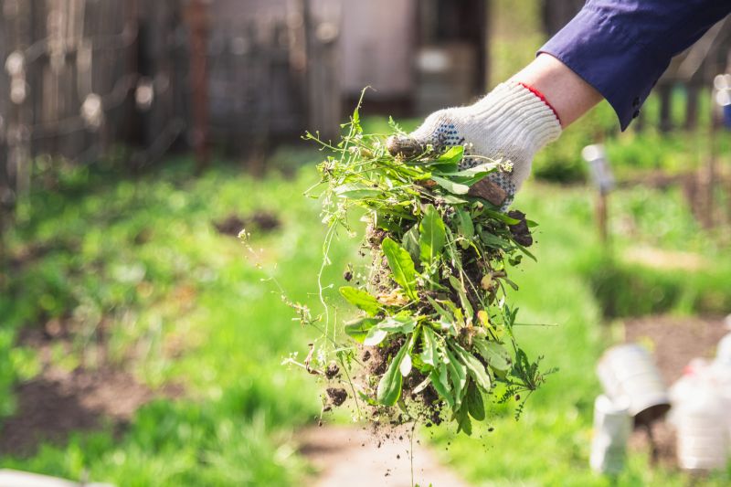 Garden Deweeding in Aiken, SC