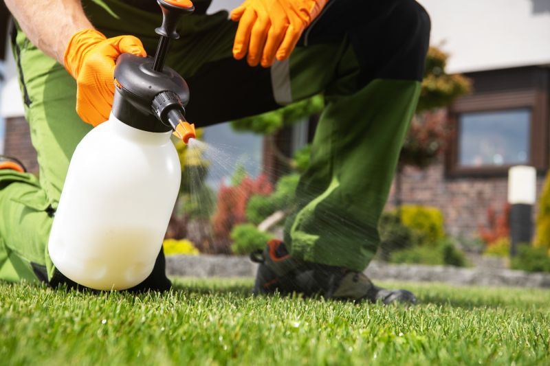 Grass Treatment in Ventura County, CA