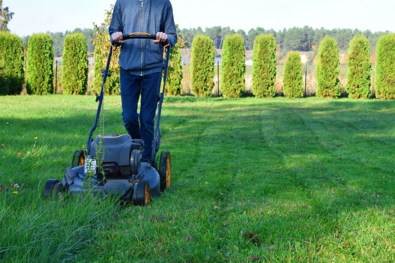 Lawn Cutting Service in Bowie, MD