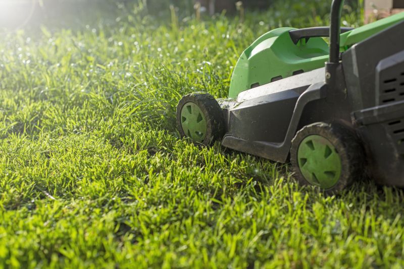 Lawn Cutting Service in Bowie, MD