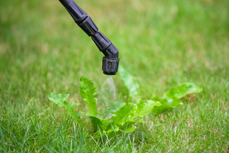 Lawn Herbicide Treatment in Rockwall, TX