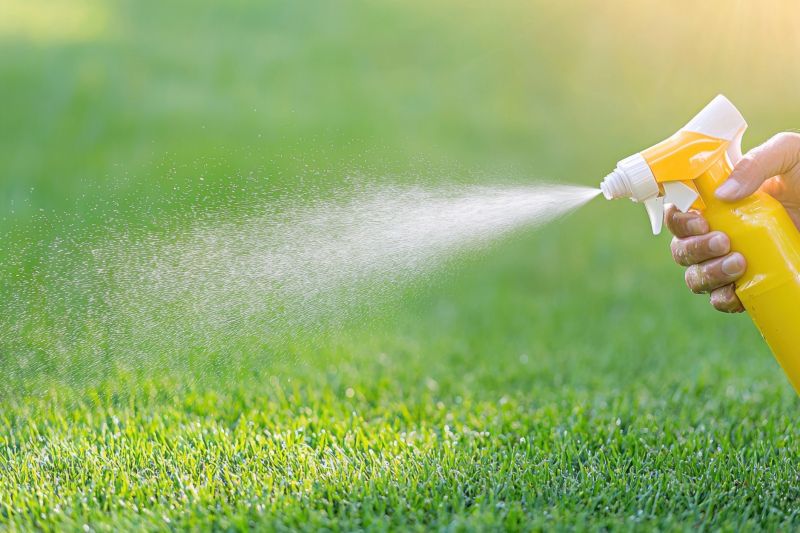 Lawn Herbicide Treatment in Rockwall, TX