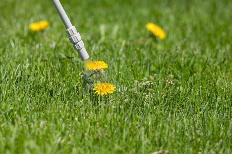 Lawn Herbicide Treatment in Ventura County, CA