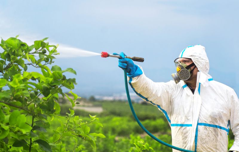 Lawn Herbicide Treatment in Aiken, SC