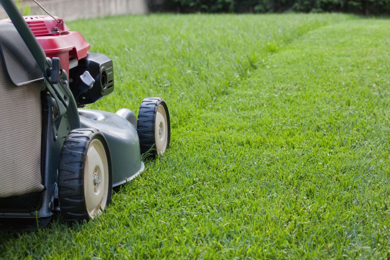 Lawn Management in Bowie, MD