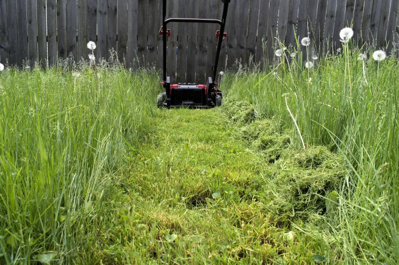 Lawn Mowing in Bowie, MD