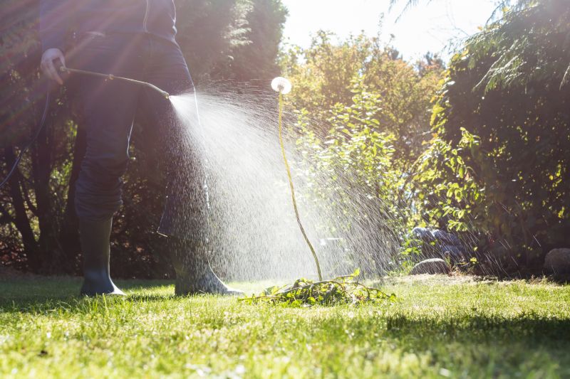 Lawn Spraying in Honolulu, HI