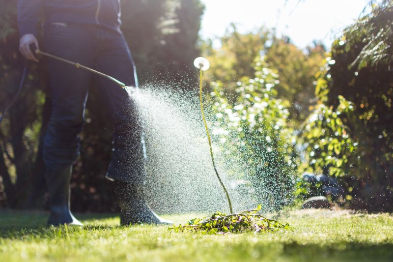 Lawn Spraying in Aiken, SC