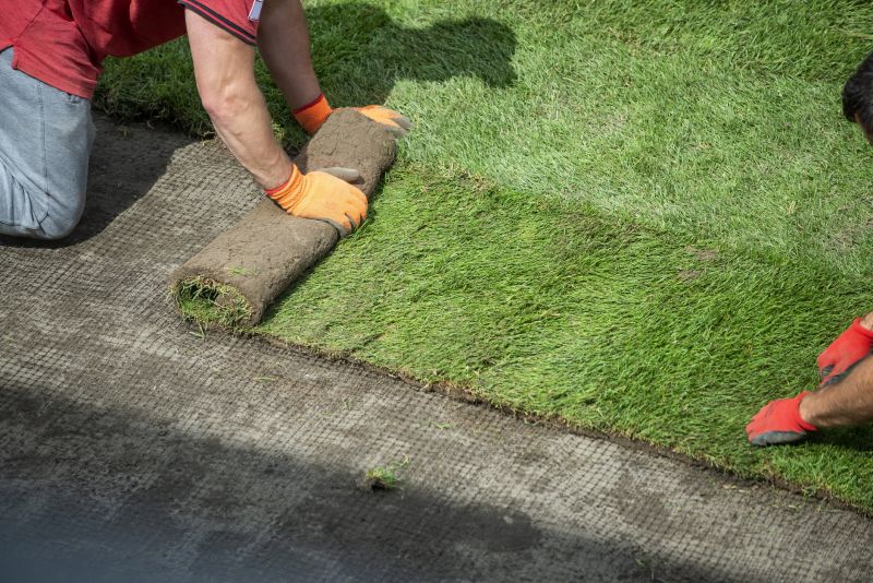 Lawn Topdressing in Honolulu, HI