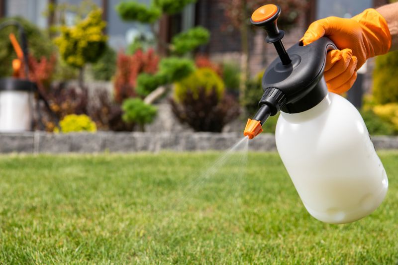 Lawn Treatment Service in Ventura County, CA