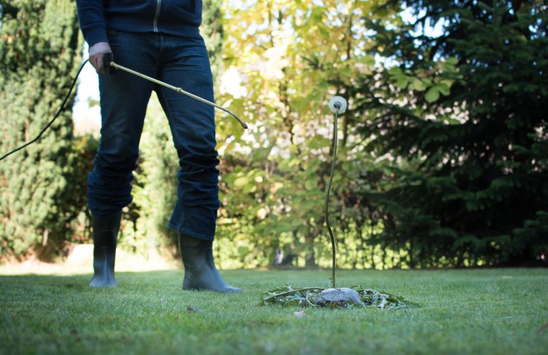 Lawn Weed Spraying in Ventura County, CA