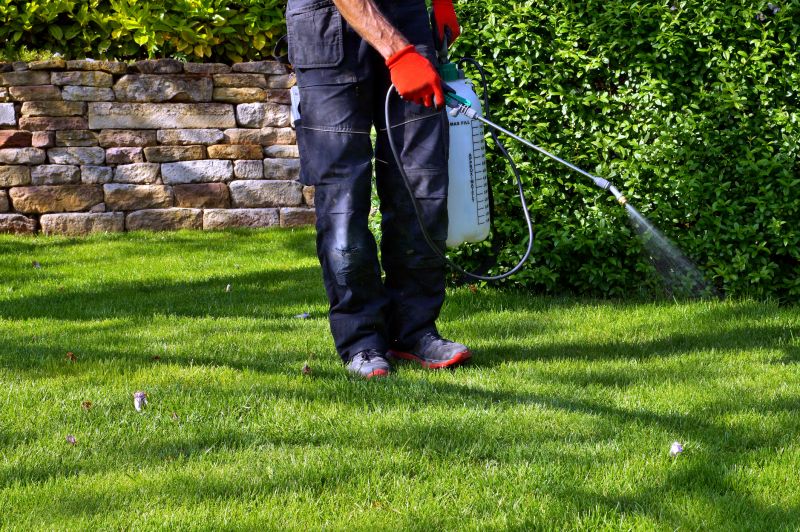 Lawn Weed Spraying in Rockwall, TX