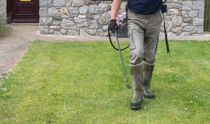 Lawn Weed Treatment in Ventura County, CA