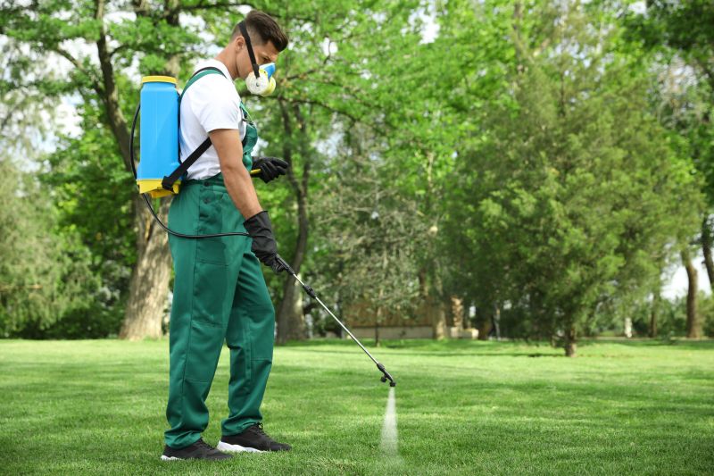 Mushroom Removal Service in Honolulu, HI