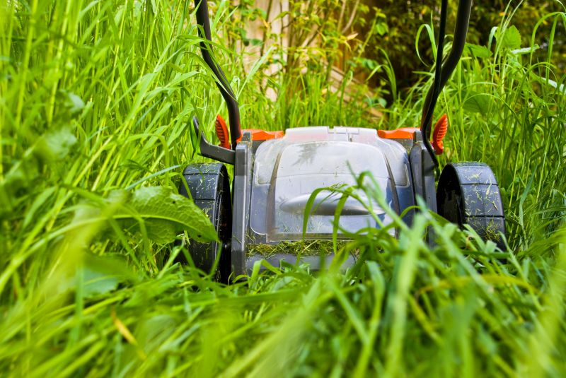 Overgrown Lawn Trimming in Bowie, MD
