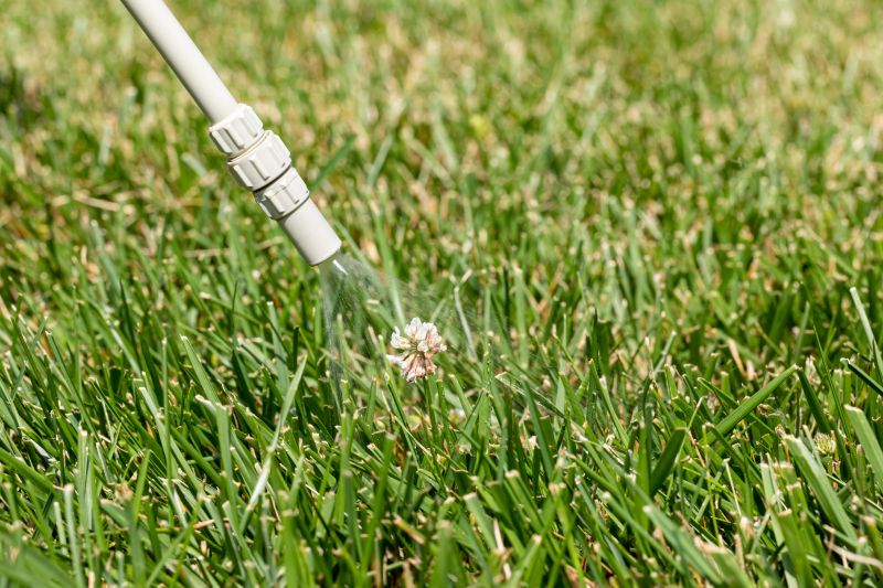 Pampas Grass Control in Ventura County, CA