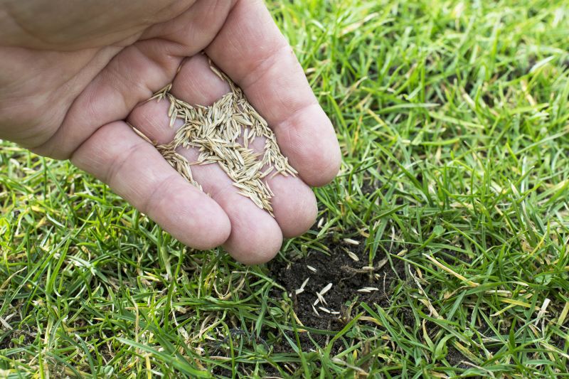Reseeding Service in Ventura County, CA