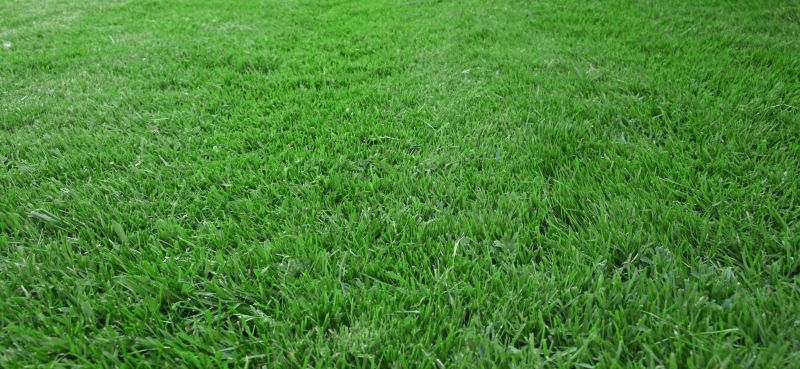 Residential Grass Seeding in Ventura County, CA