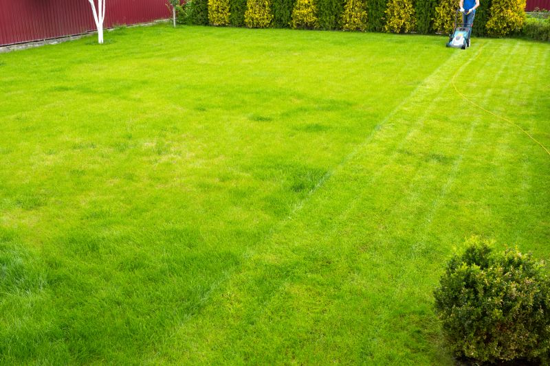 Residential Lawn Care in Bowie, MD