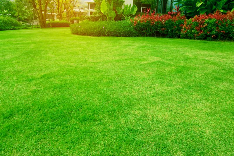 Routine Lawn Care in Bowie, MD