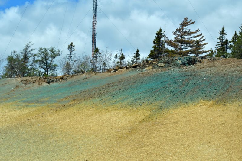 Slope Hydroseeding in Honolulu, HI
