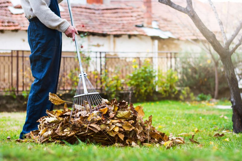 Spring Lawn Cleanup in Honolulu, HI