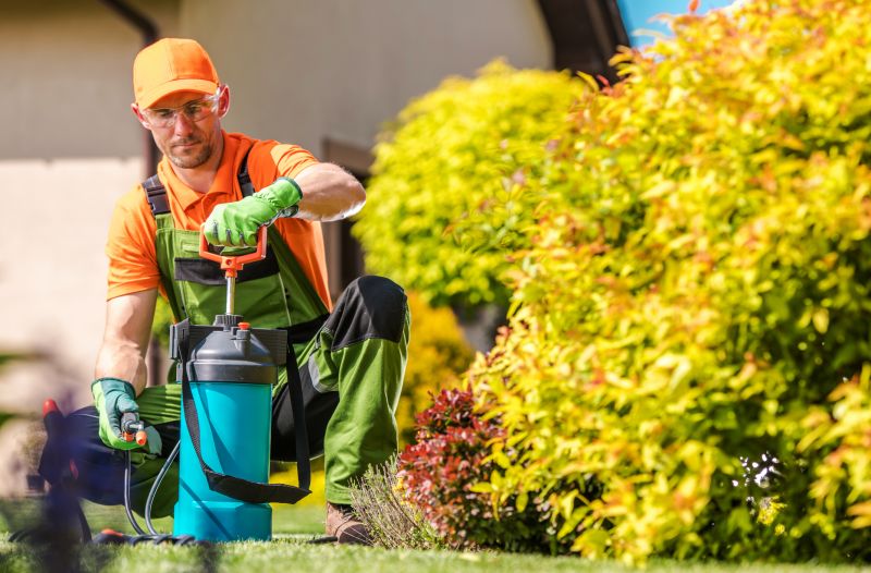 Spring Lawn Fertilizing in Ventura County, CA