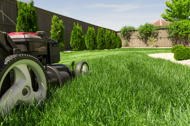 Spring Lawn Maintenance in Bowie, MD