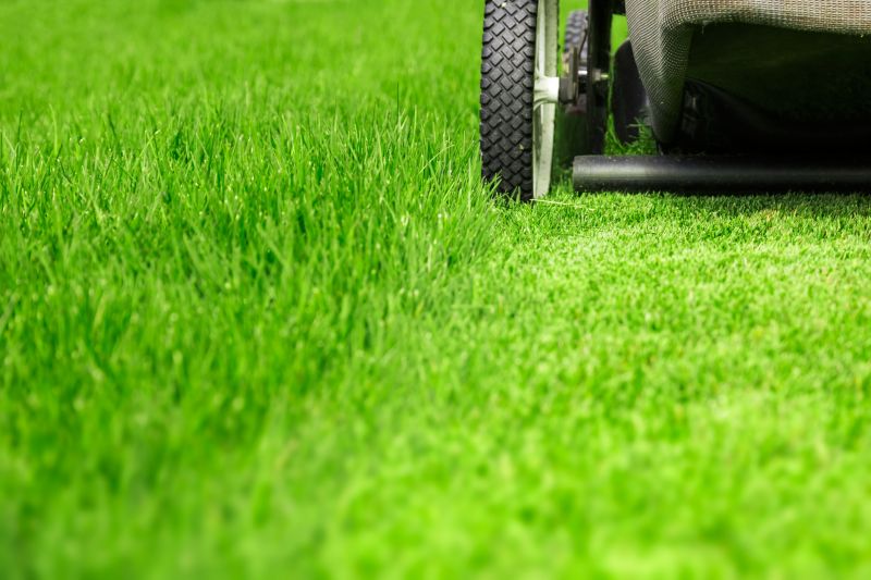 Summer Lawn Care in Bowie, MD