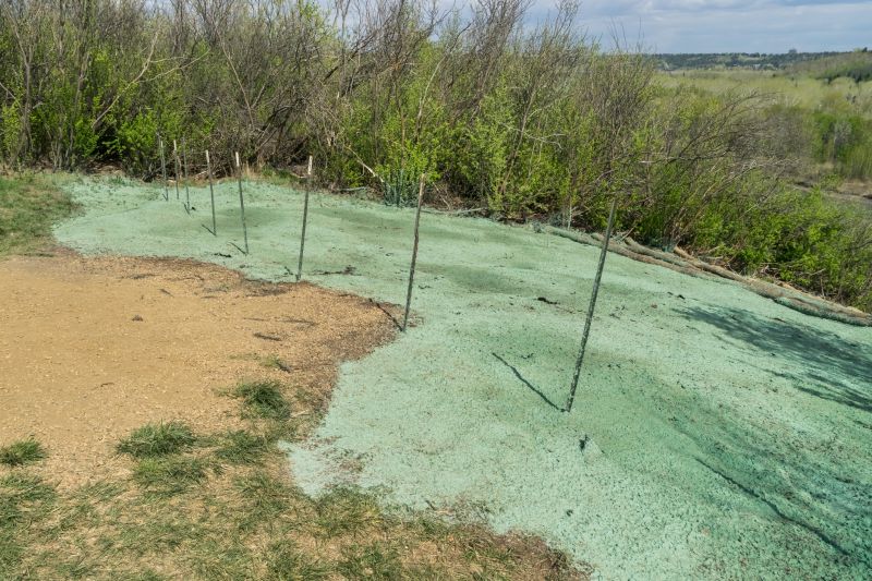 Turf Seeding in Honolulu, HI
