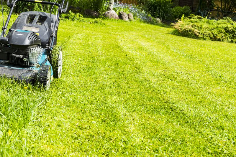 Vacant Lot Mowing in Duluth, MN