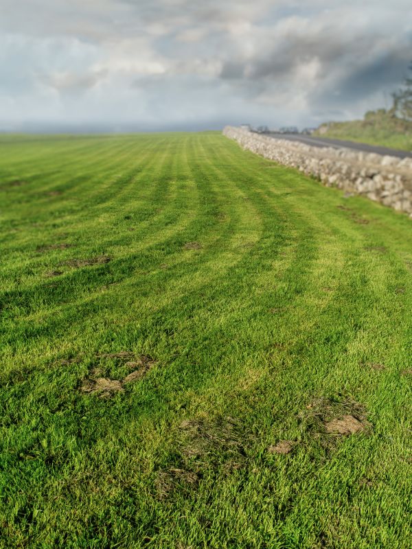 Vacant Lot Mowing in Calvert County, MD