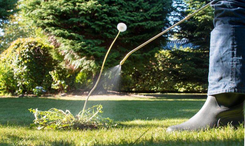 Weed Control Service in Aiken, SC