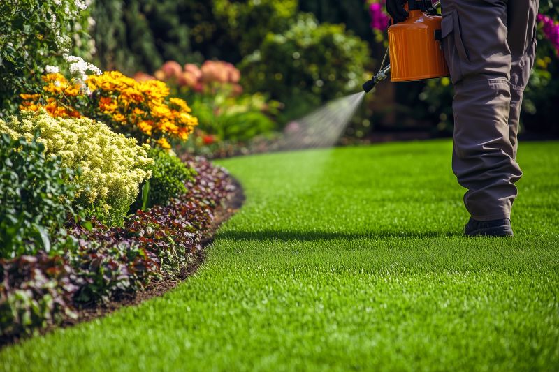 Yard Improvement Service in Honolulu, HI