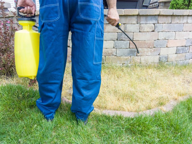 Yard Improvement Service in Ventura County, CA